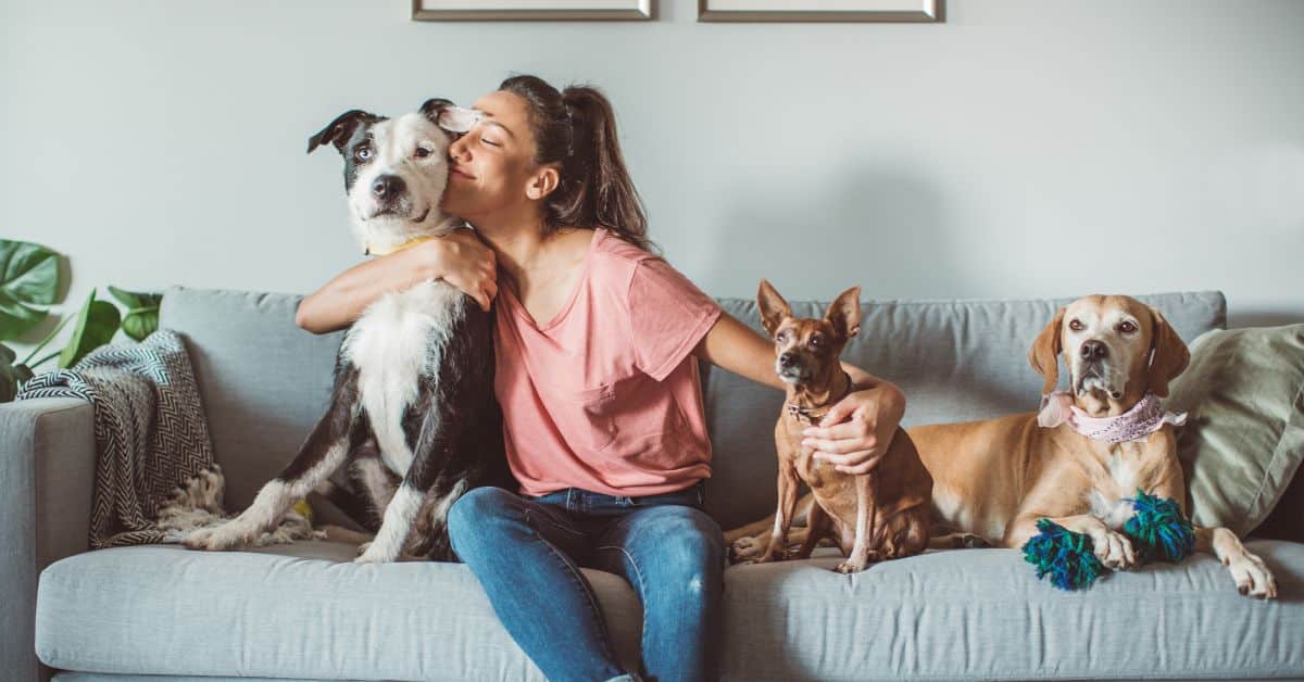 5 חיות שנחמד לגדל בבית!
