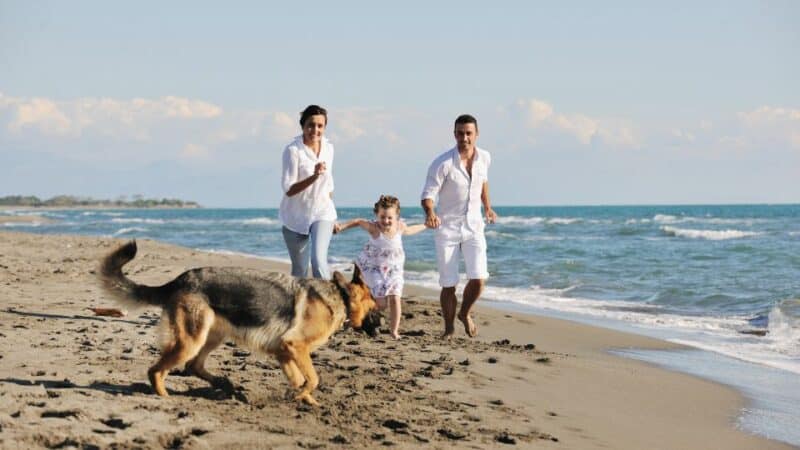 פעילויות ODT